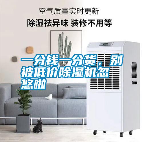 一分錢一分貨，別被低價除濕機忽悠啦