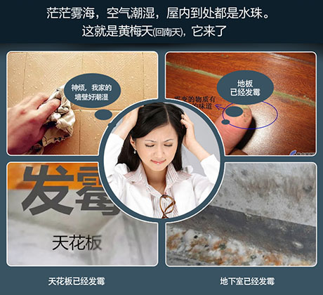 家庭別墅的地下室、衛生間、儲物室等該如何除濕？