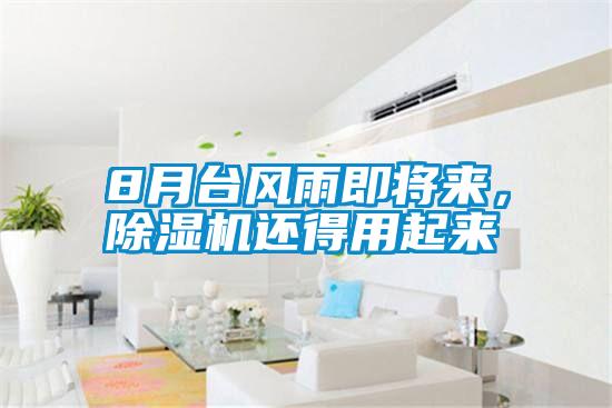 8月臺風雨即將來，除濕機還得用起來