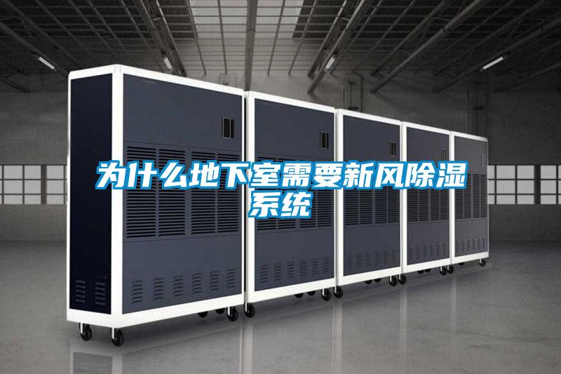 為什么地下室需要新風除濕系統