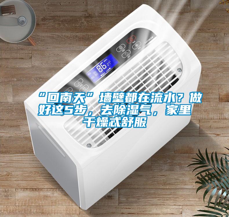 “回南天”墻壁都在流水？做好這5步，去除濕氣，家里干燥忒舒服