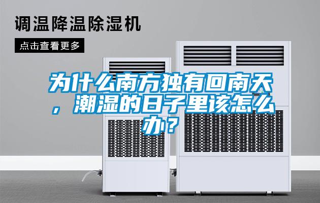 為什么南方獨有回南天，潮濕的日子里該怎么辦？