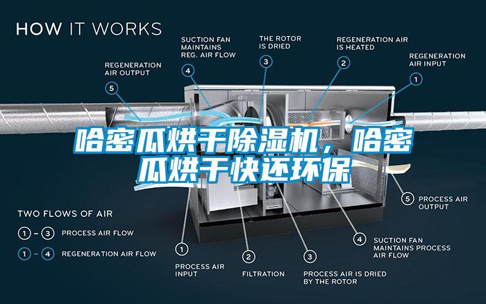 哈密瓜烘干除濕機，哈密瓜烘干快還環(huán)保