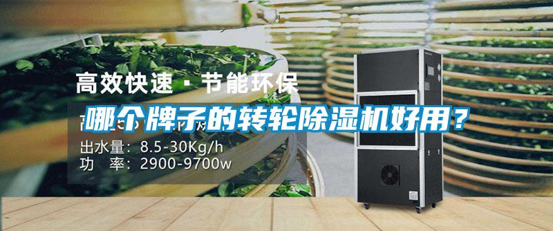 哪個牌子的轉輪除濕機好用？