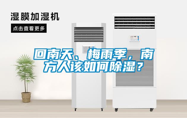 回南天、梅雨季，南方人該如何除濕？