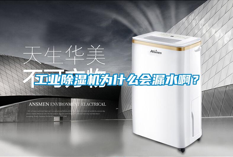 工業除濕機為什么會漏水啊？