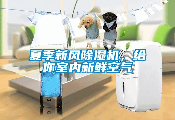 夏季新風除濕機，給你室內(nèi)新鮮空氣