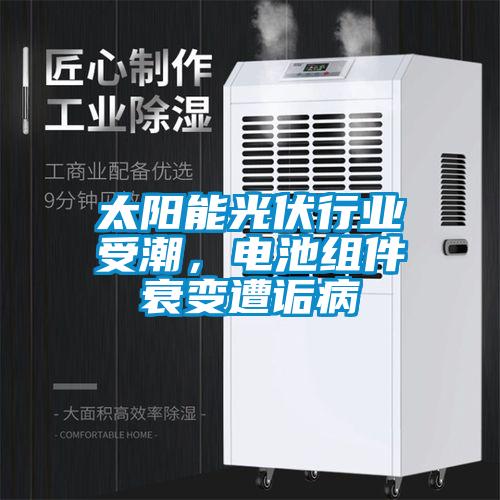 太陽能光伏行業受潮，電池組件衰變遭詬病