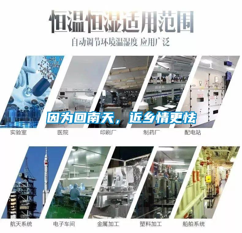 因為回南天，近鄉情更怯