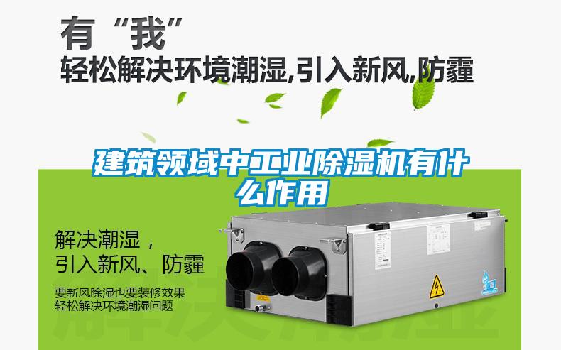 建筑領域中工業除濕機有什么作用
