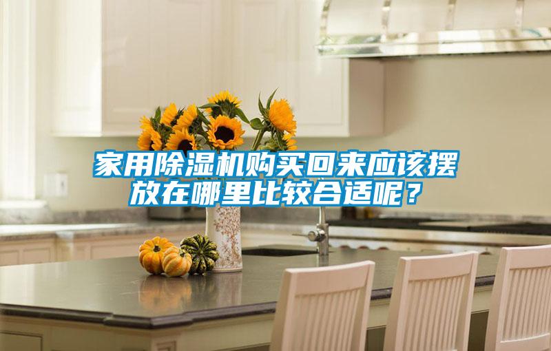 家用除濕機購買回來應該擺放在哪里比較合適呢？