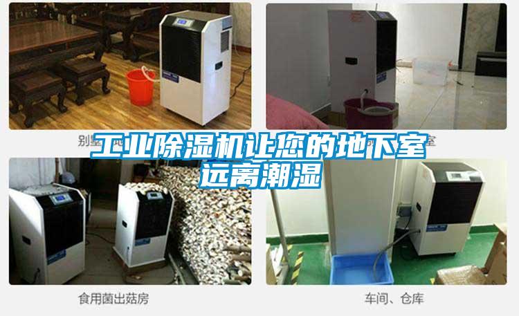 工業除濕機讓您的地下室遠離潮濕