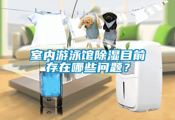 室內(nèi)游泳館除濕目前存在哪些問題？