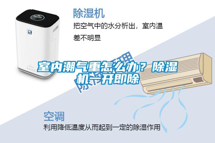室內潮氣重怎么辦？除濕機一開即除