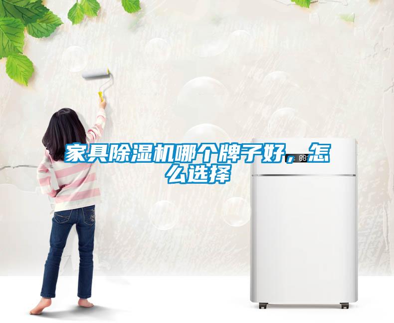 家具除濕機哪個牌子好，怎么選擇