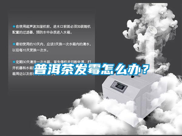 普洱茶發霉怎么辦？