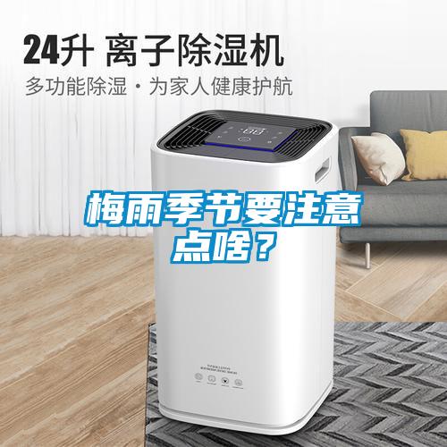 梅雨季節要注意點啥？