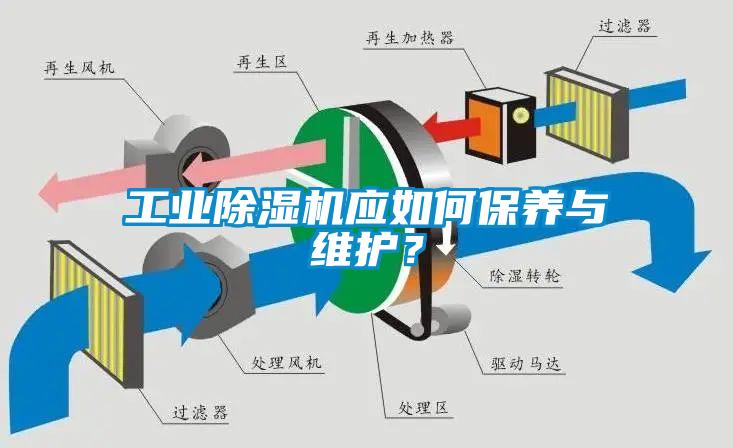 工業除濕機應如何保養與維護？