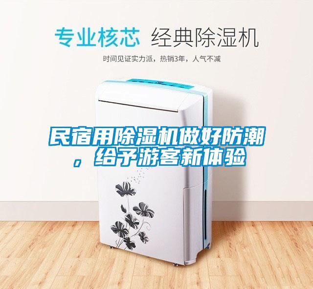 民宿用除濕機做好防潮，給予游客新體驗