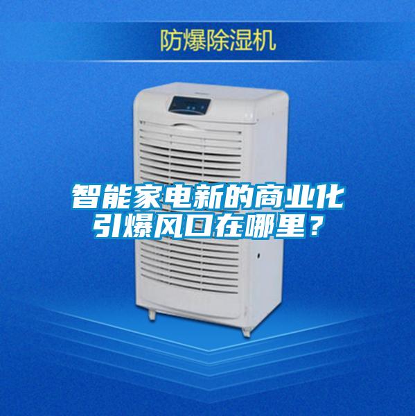 智能家電新的商業(yè)化引爆風(fēng)口在哪里？