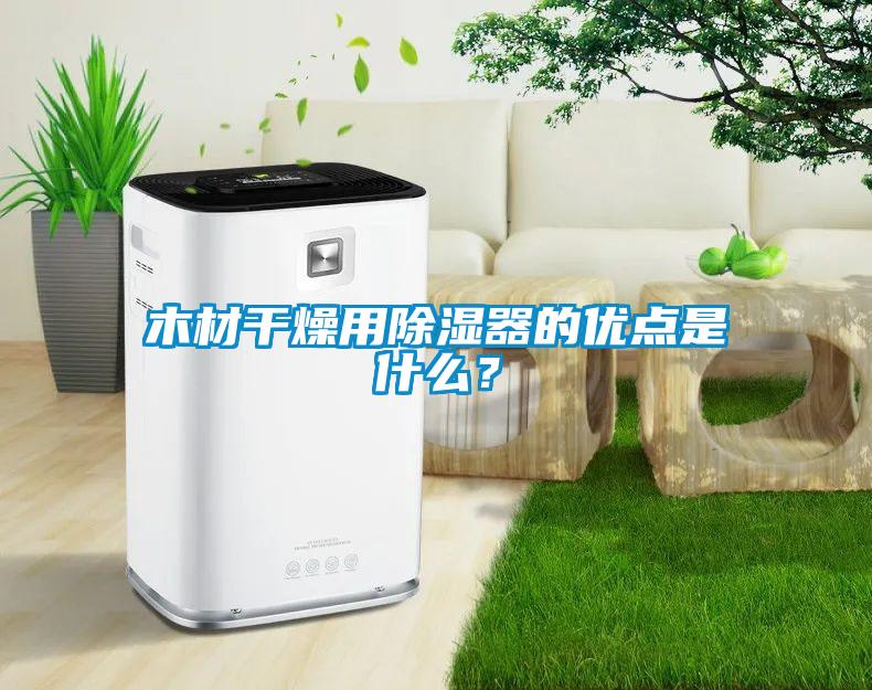 木材干燥用除濕器的優(yōu)點是什么？