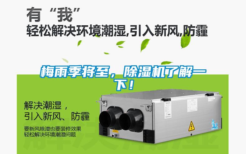 梅雨季將至，除濕機了解一下！