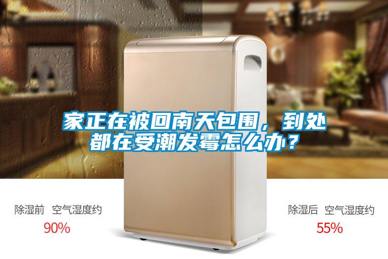 家正在被回南天包圍，到處都在受潮發(fā)霉怎么辦？