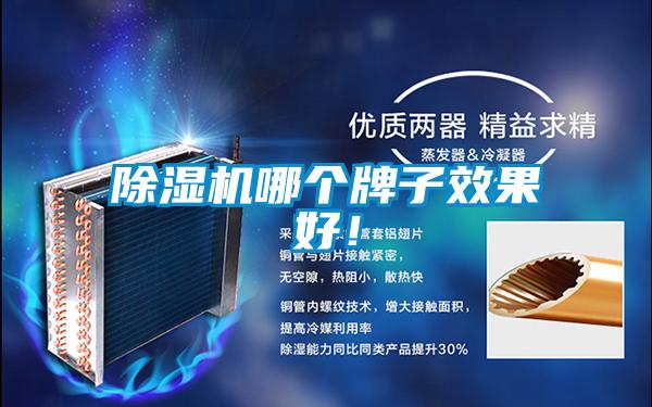 除濕機(jī)哪個牌子效果好！