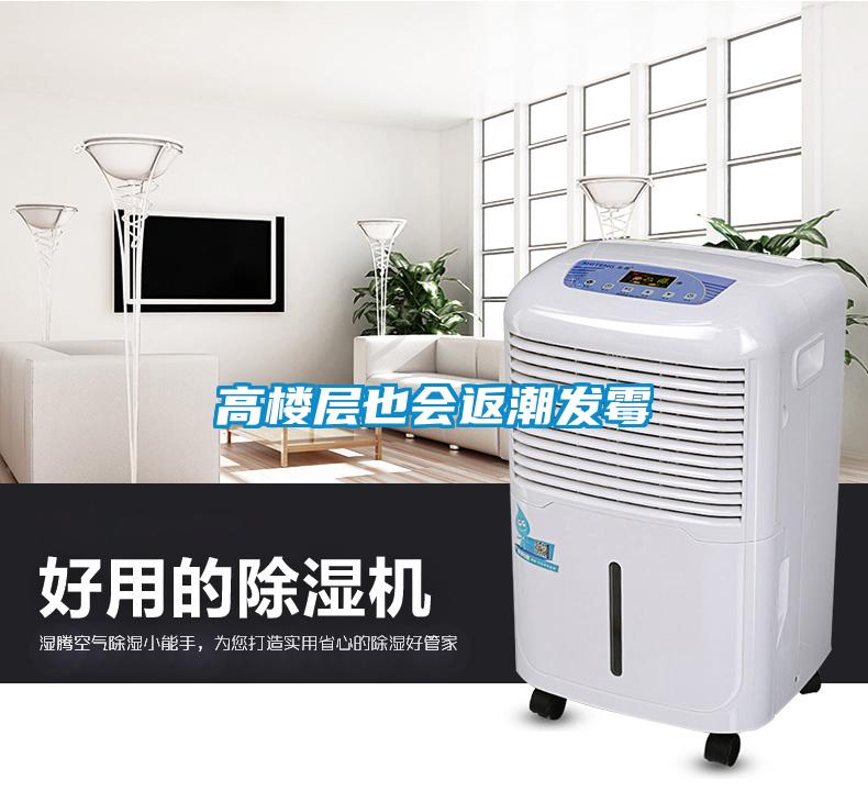 高樓層也會返潮發霉