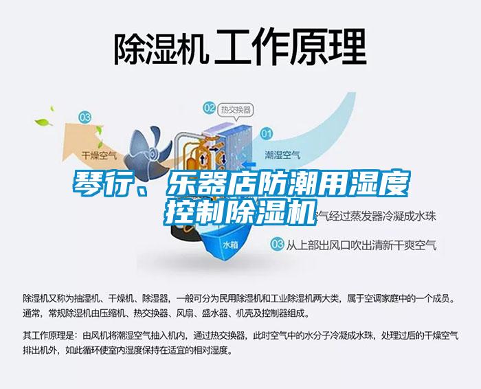 琴行、樂器店防潮用濕度控制除濕機(jī)