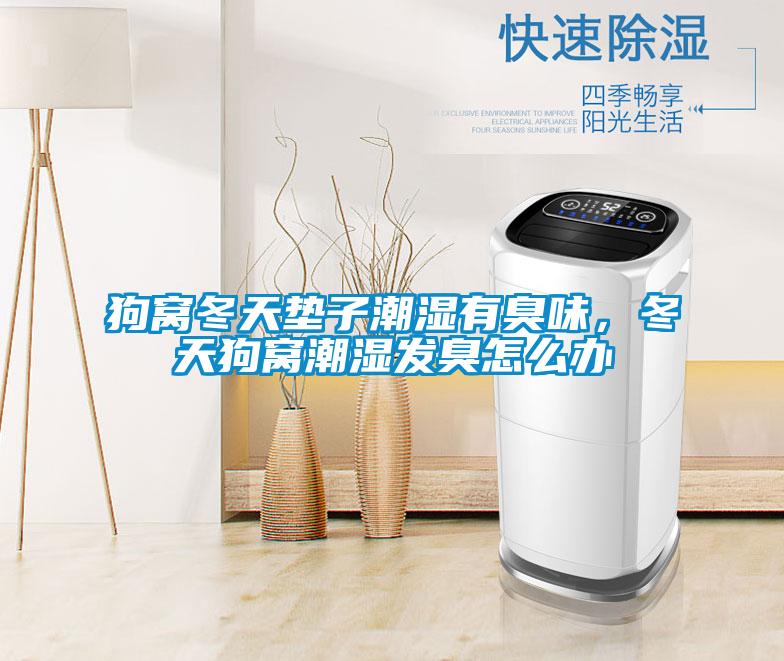 狗窩冬天墊子潮濕有臭味，冬天狗窩潮濕發臭怎么辦
