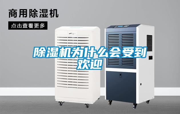 除濕機(jī)為什么會受到歡迎