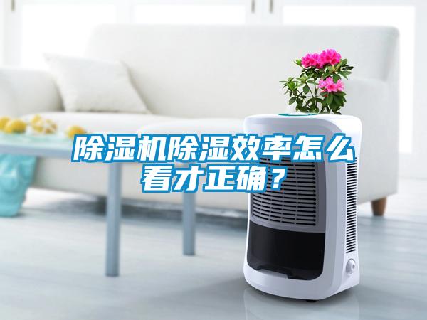 除濕機除濕效率怎么看才正確？