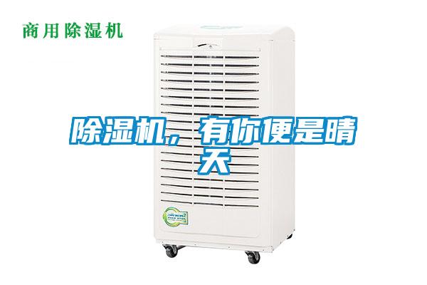 除濕機，有你便是晴天