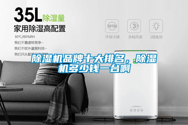 除濕機(jī)品牌十大排名，除濕機(jī)多少錢一臺(tái)啊