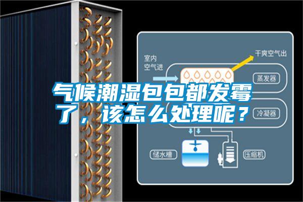 氣候潮濕包包都發霉了，該怎么處理呢？