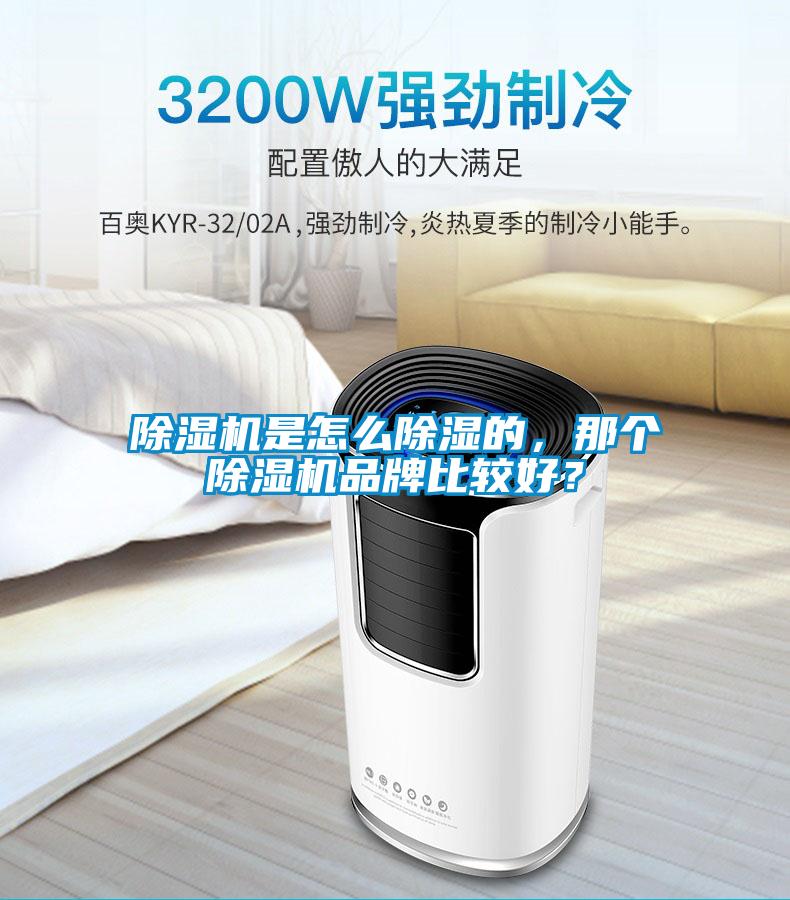 除濕機是怎么除濕的，那個除濕機品牌比較好？