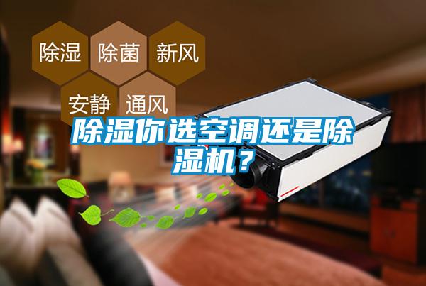 除濕你選空調(diào)還是除濕機(jī)？