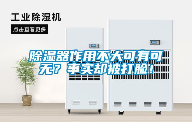 除濕器作用不大可有可無？事實卻被打臉！