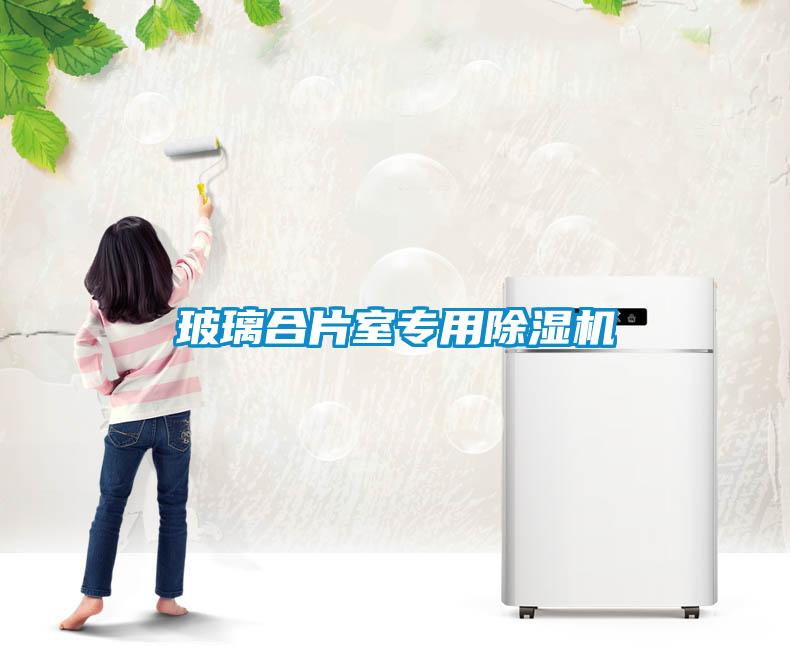 玻璃合片室專用除濕機