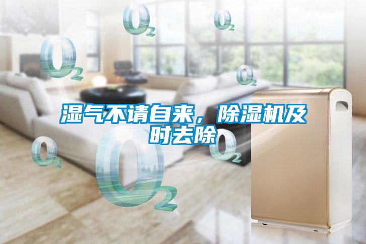 濕氣不請(qǐng)自來(lái)，除濕機(jī)及時(shí)去除