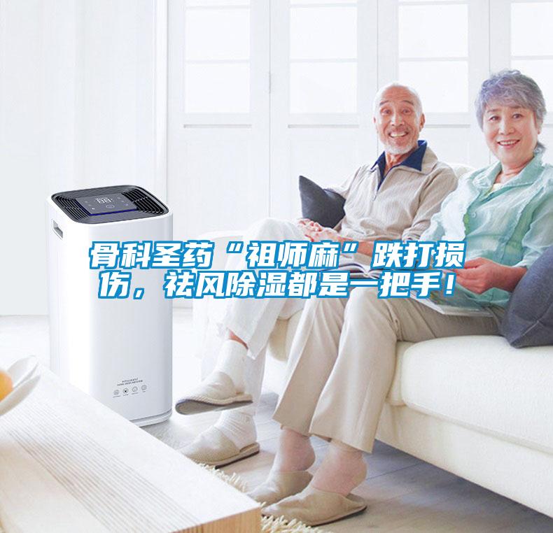 骨科圣藥“祖師麻”跌打損傷，祛風除濕都是一把手！
