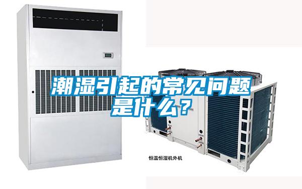 潮濕引起的常見問題是什么？