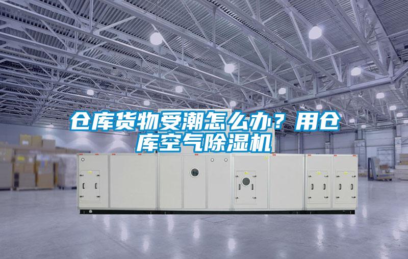倉庫貨物受潮怎么辦？用倉庫空氣除濕機