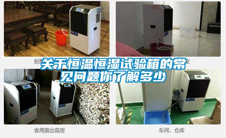 關于恒溫恒濕試驗箱的常見問題你了解多少