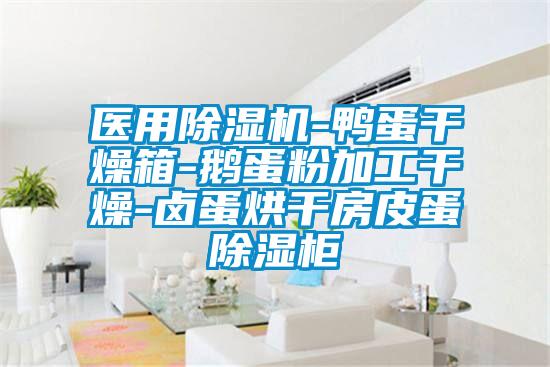 醫用除濕機-鴨蛋干燥箱-鵝蛋粉加工干燥-鹵蛋烘干房皮蛋除濕柜