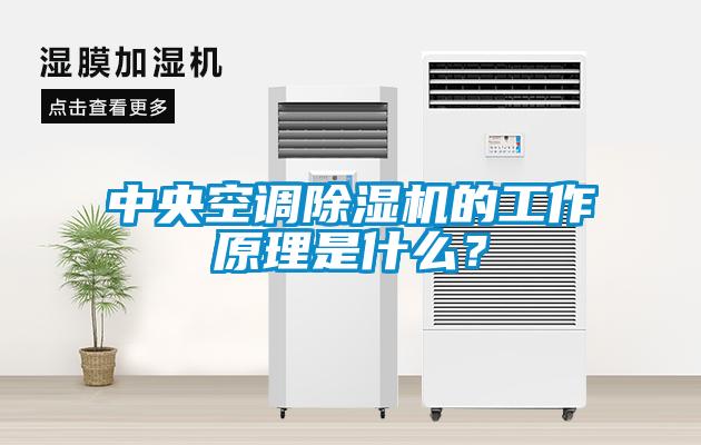 中央空調除濕機的工作原理是什么？