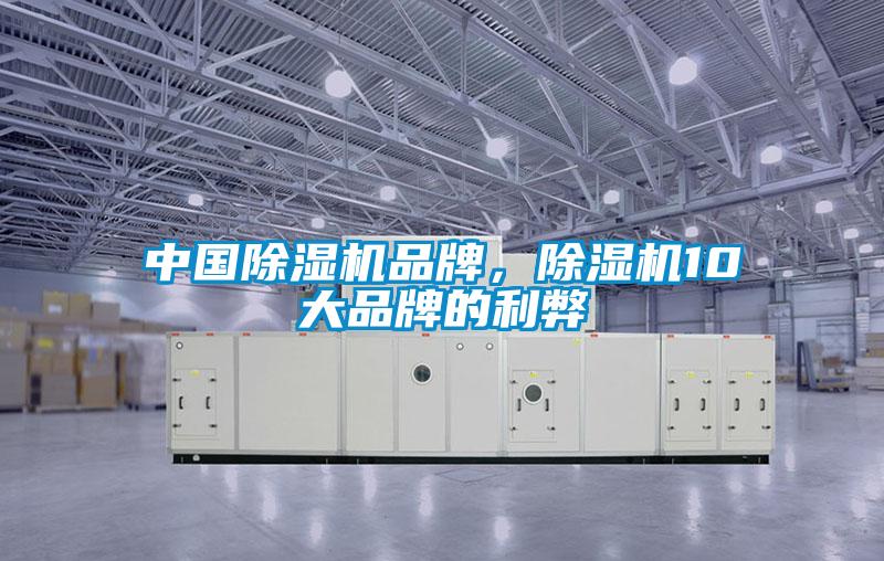 中國(guó)除濕機(jī)品牌，除濕機(jī)10大品牌的利弊