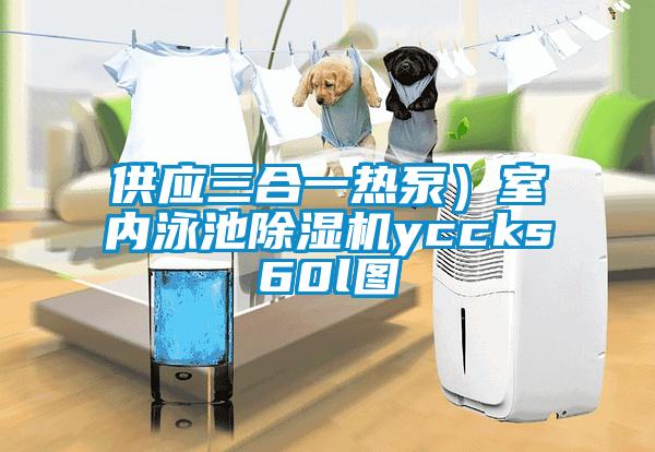 供應三合一熱泵）室內泳池除濕機yccks60l圖