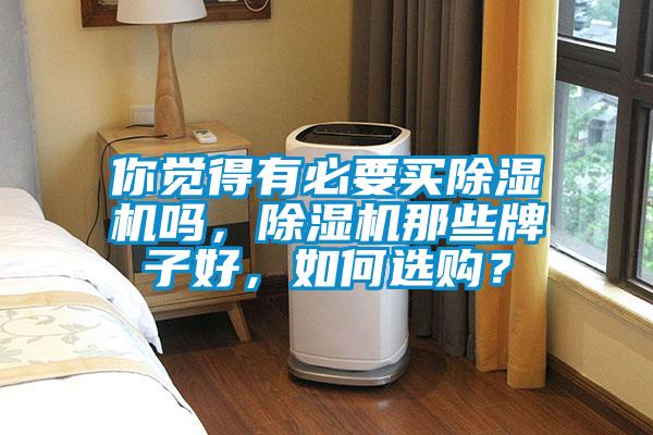 你覺得有必要買除濕機嗎，除濕機那些牌子好，如何選購？